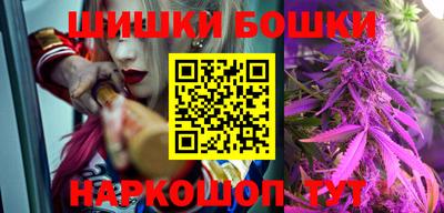мдпв Кингисепп