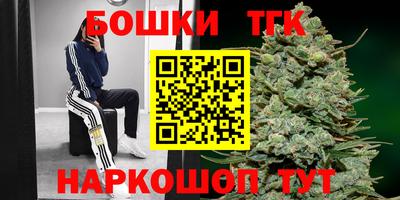 мдпв Кингисепп