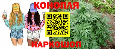 дживик Кимры