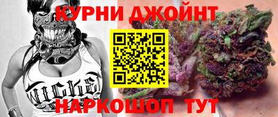 мдпв Кингисепп