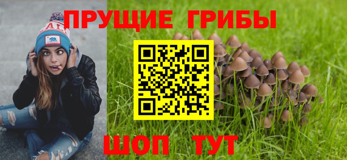 Галлюциногенные грибы прущие грибы  Вход с VPN  дарнет шоп  Верхняя Пышма 